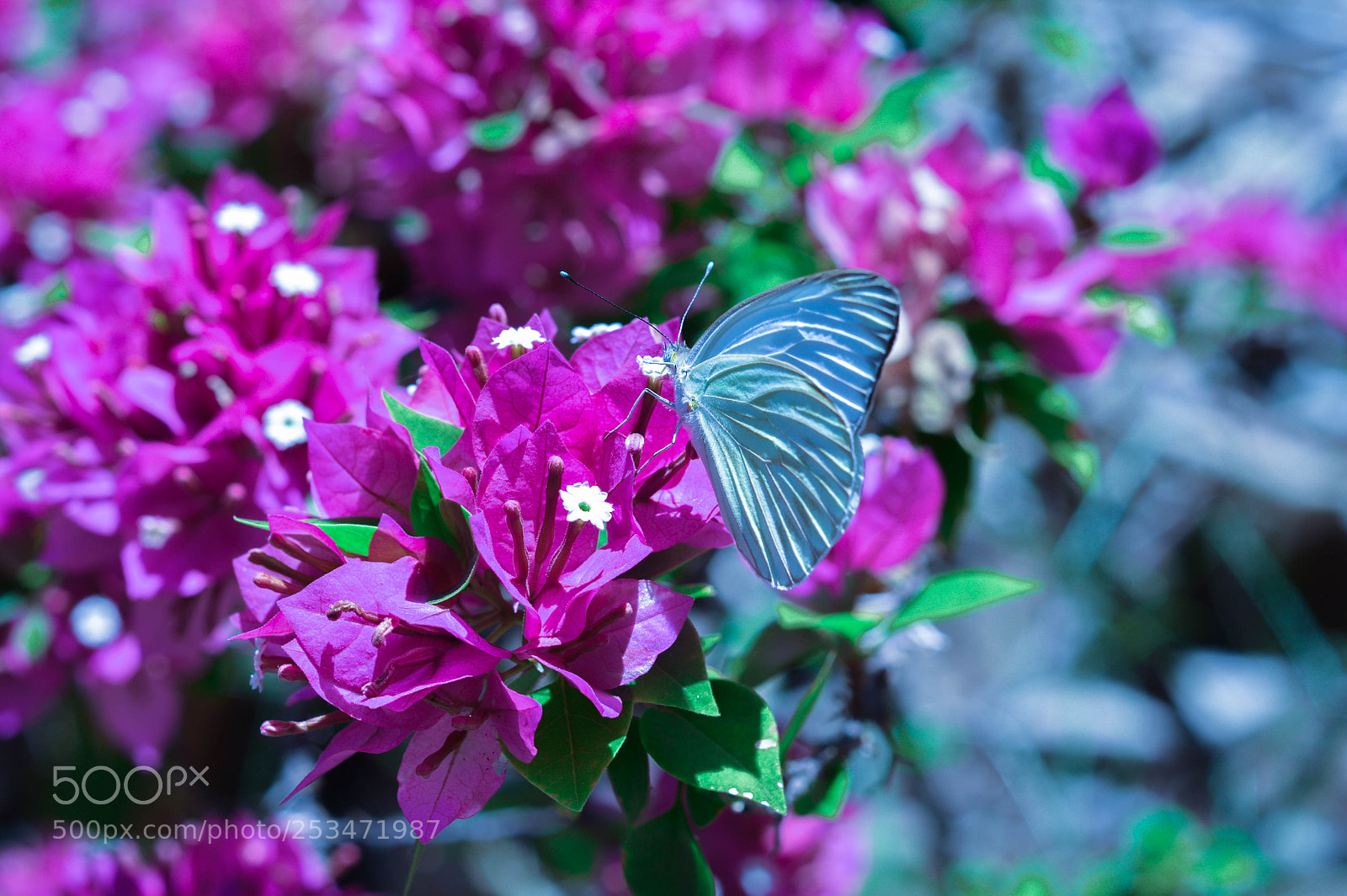 Nikon D3200 sample photo. Dsc photography