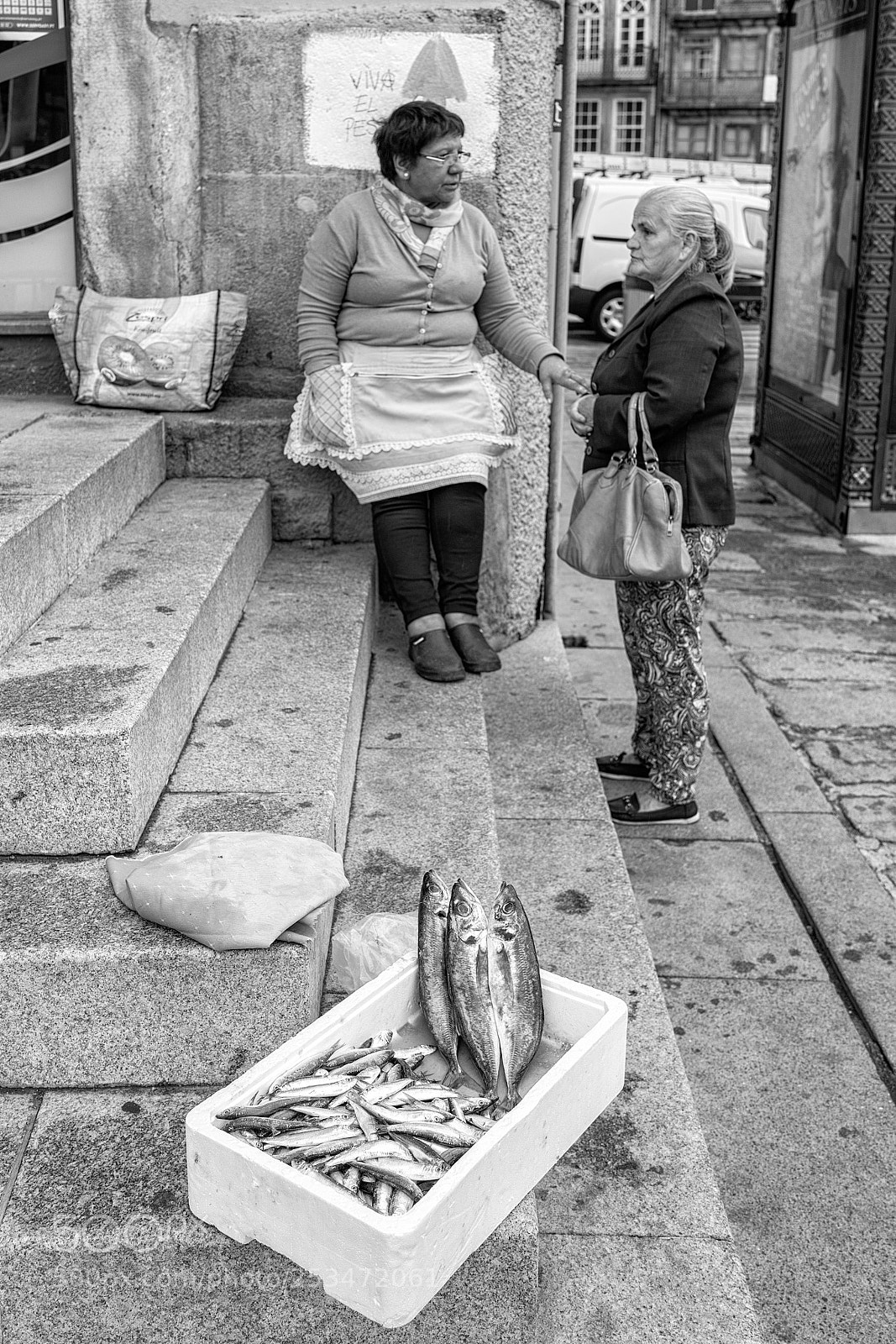 Leica Q (Typ 116) sample photo. Not much fish to photography