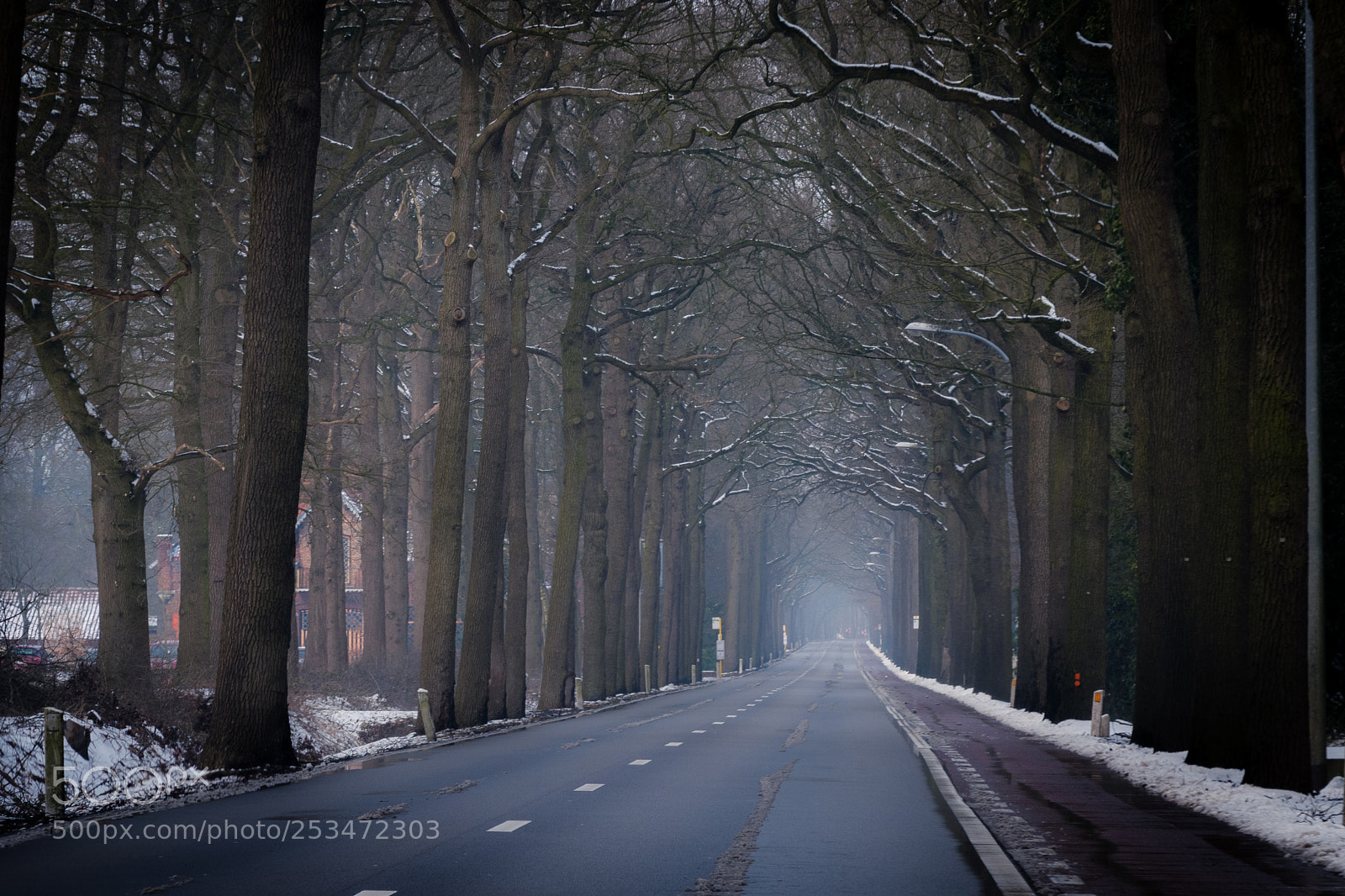 Nikon D500 sample photo. Road in netherlands photography