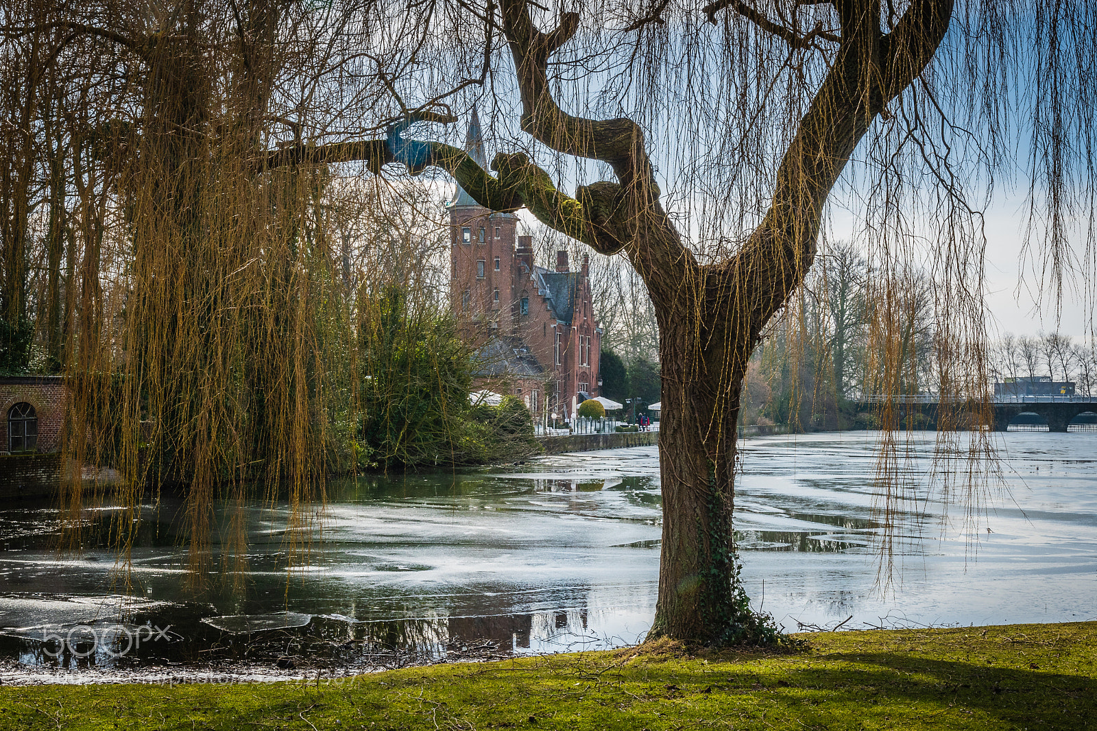 Nikon D500 sample photo. Pond in brugge photography