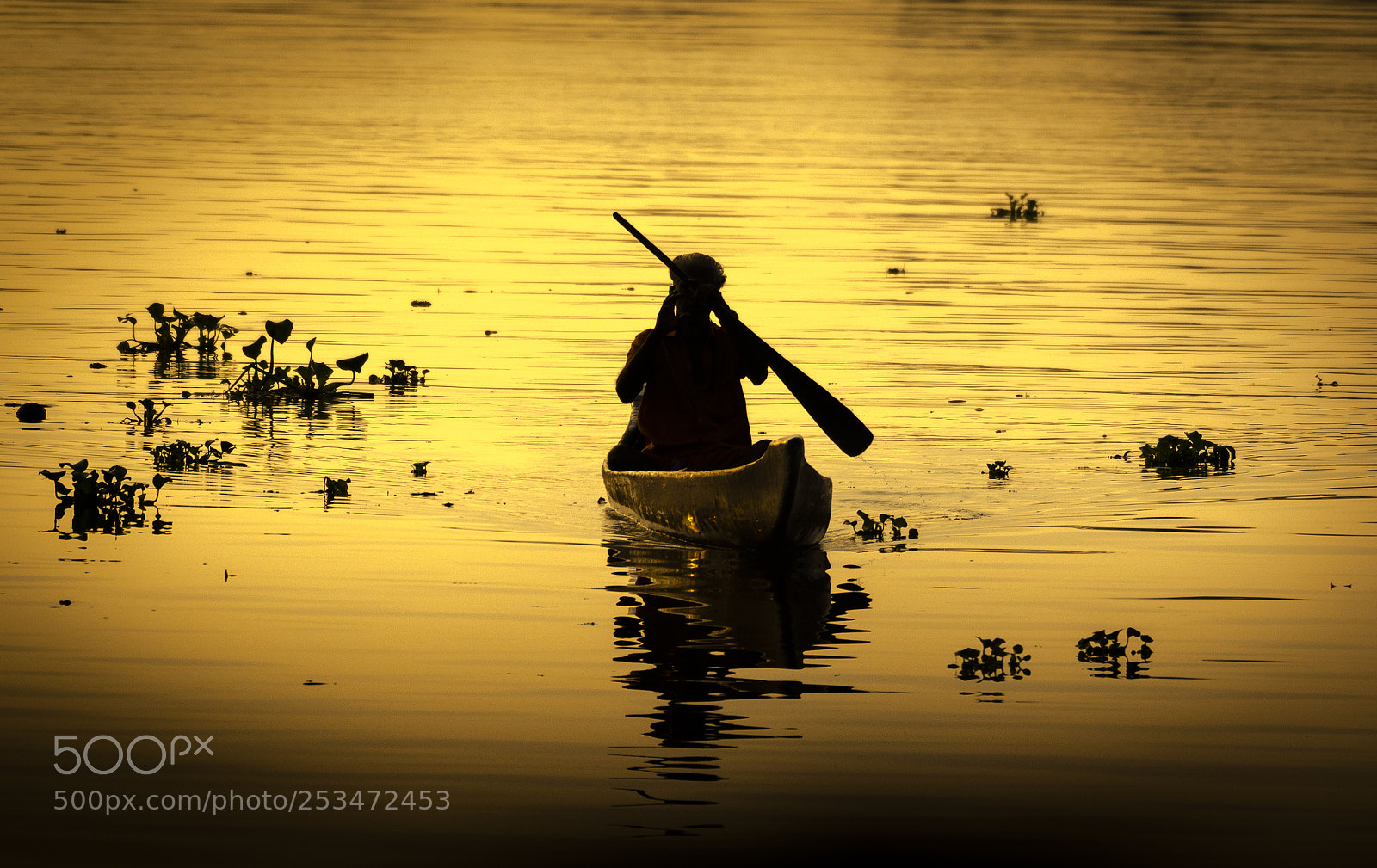 Nikon D500 sample photo. On golden pond photography