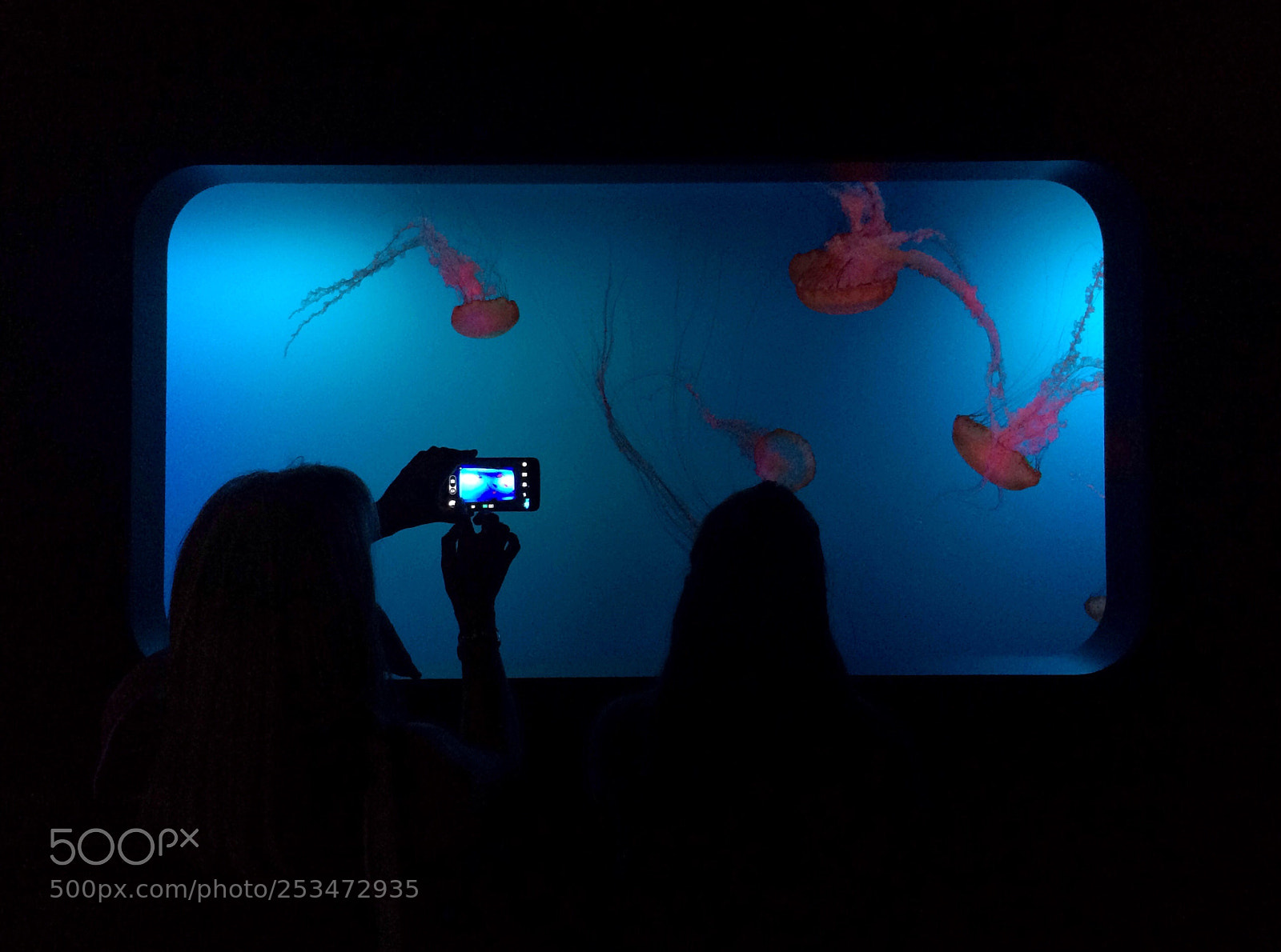Apple iPhone 5s sample photo. Aquarium visitors photography