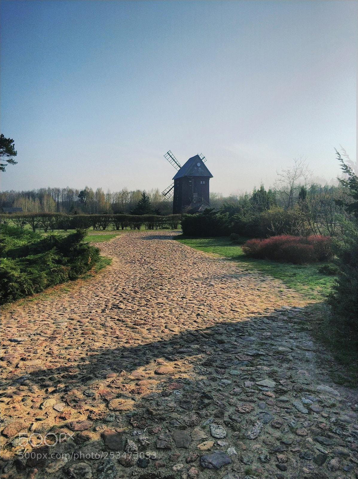 Xiaomi MI6 sample photo. East poland photography