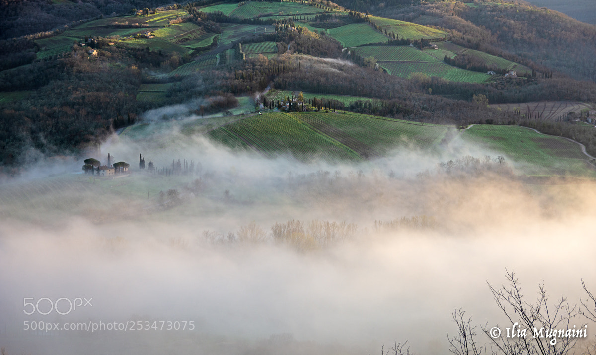 Nikon D7200 sample photo. Morning scenarios photography