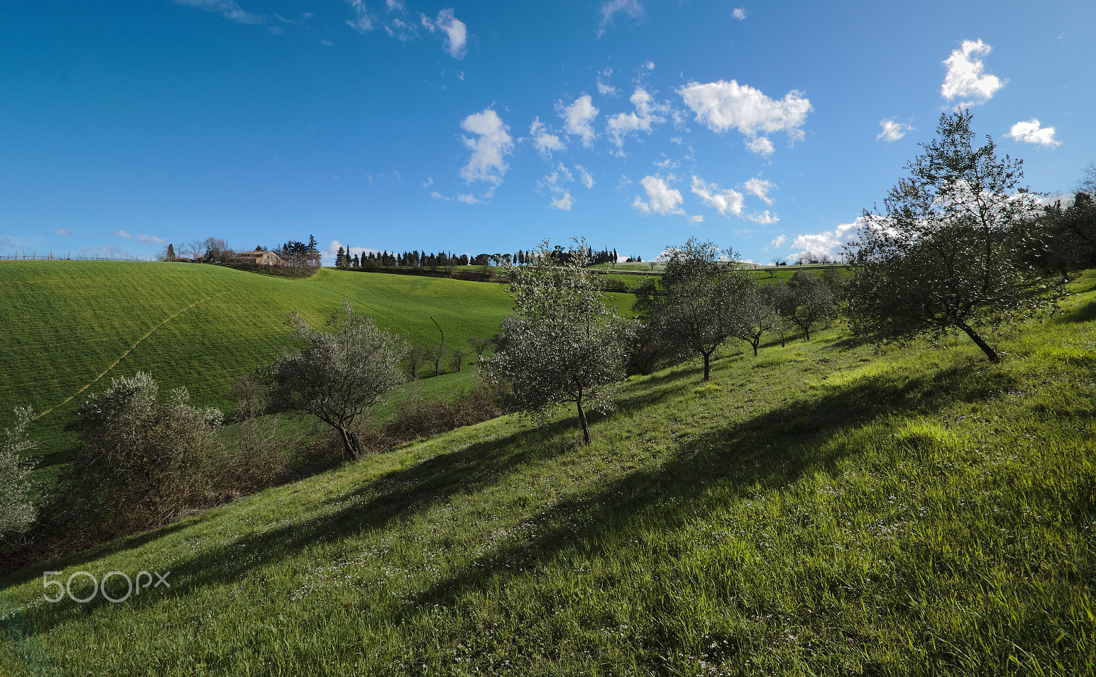 Canon EOS 70D sample photo. Verdi pendii photography