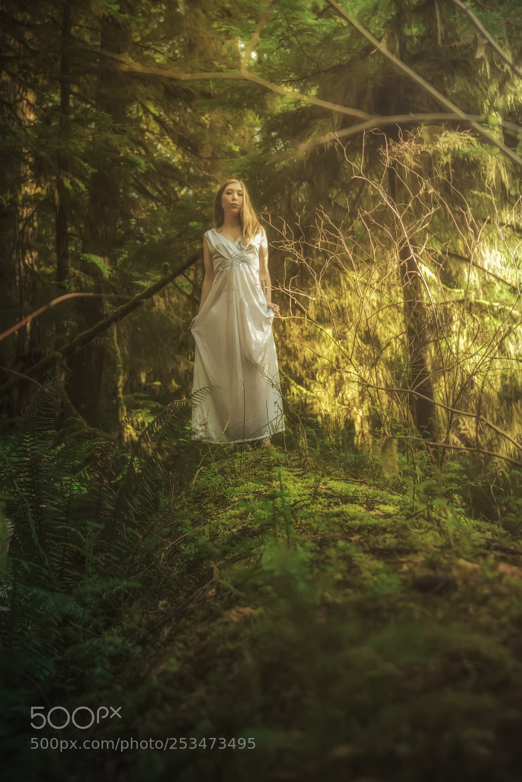 Nikon D810 sample photo. Transcendent photography