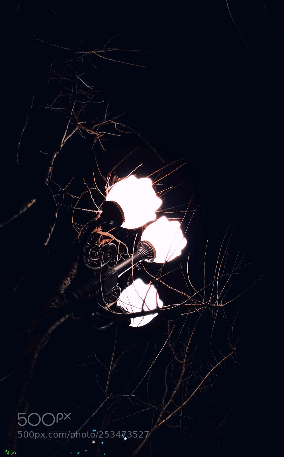 HUAWEI Mate 10 sample photo. Untitled photography
