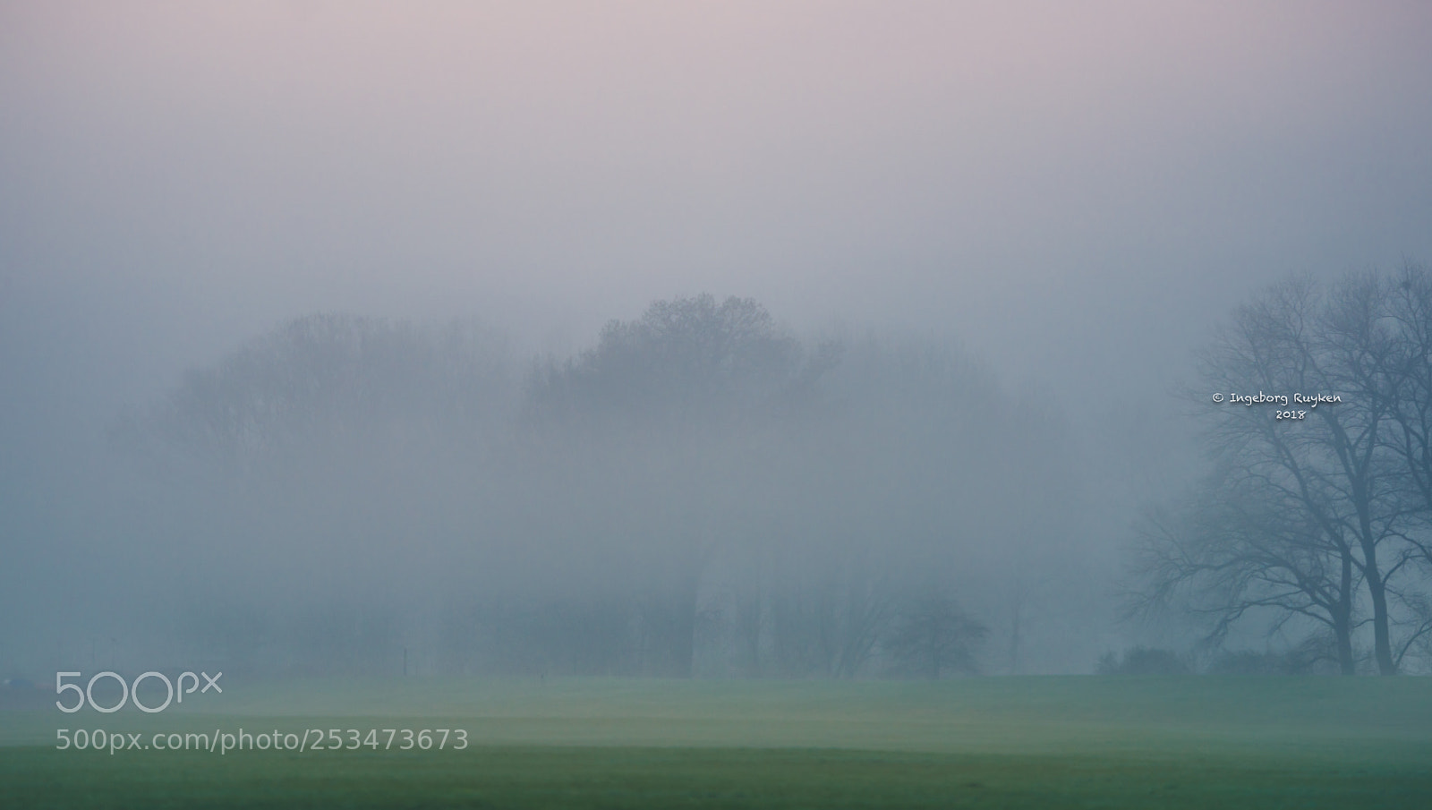 Nikon D800 sample photo. Veils of mist come photography
