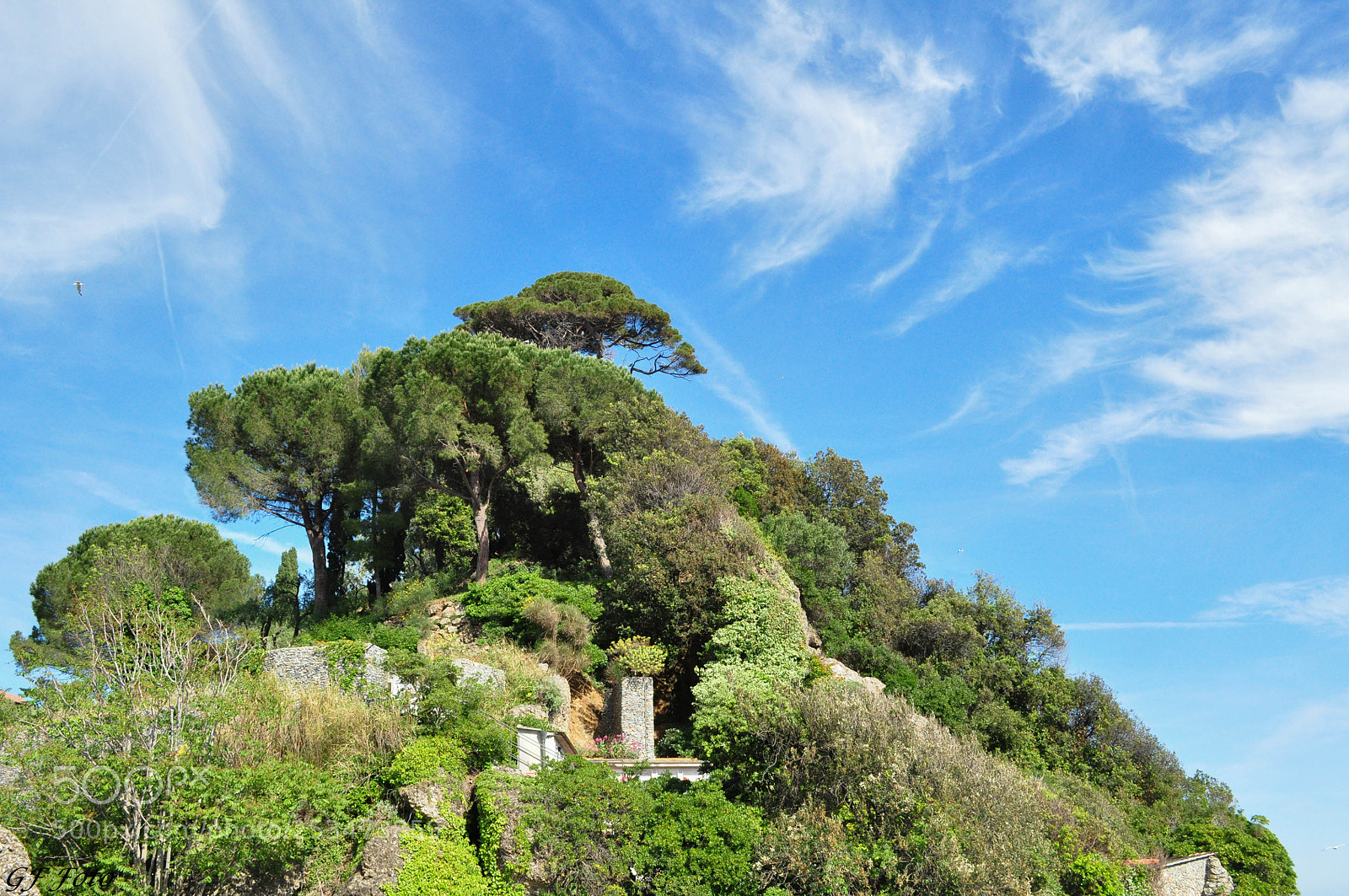 Nikon D90 sample photo. Camogli photography