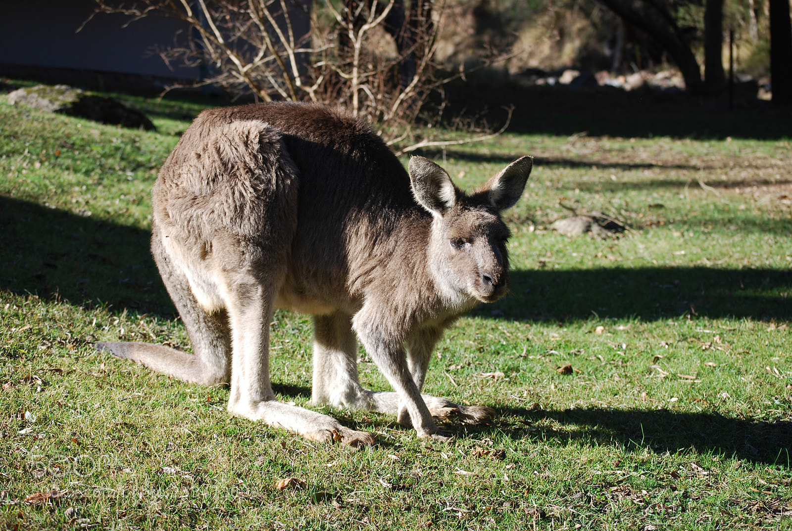 Nikon D40X sample photo. Enjoying the sunshine photography