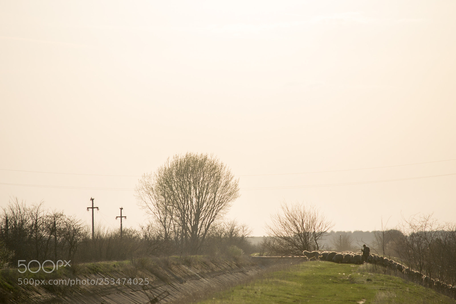 Nikon D3100 sample photo. Pastoral photography
