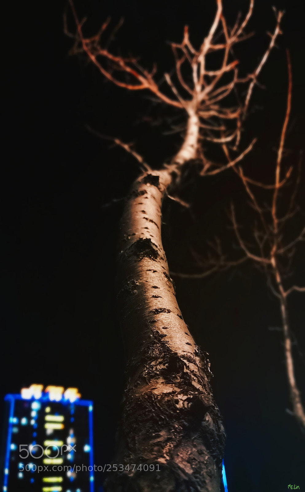 HUAWEI Mate 10 sample photo. Untitled photography