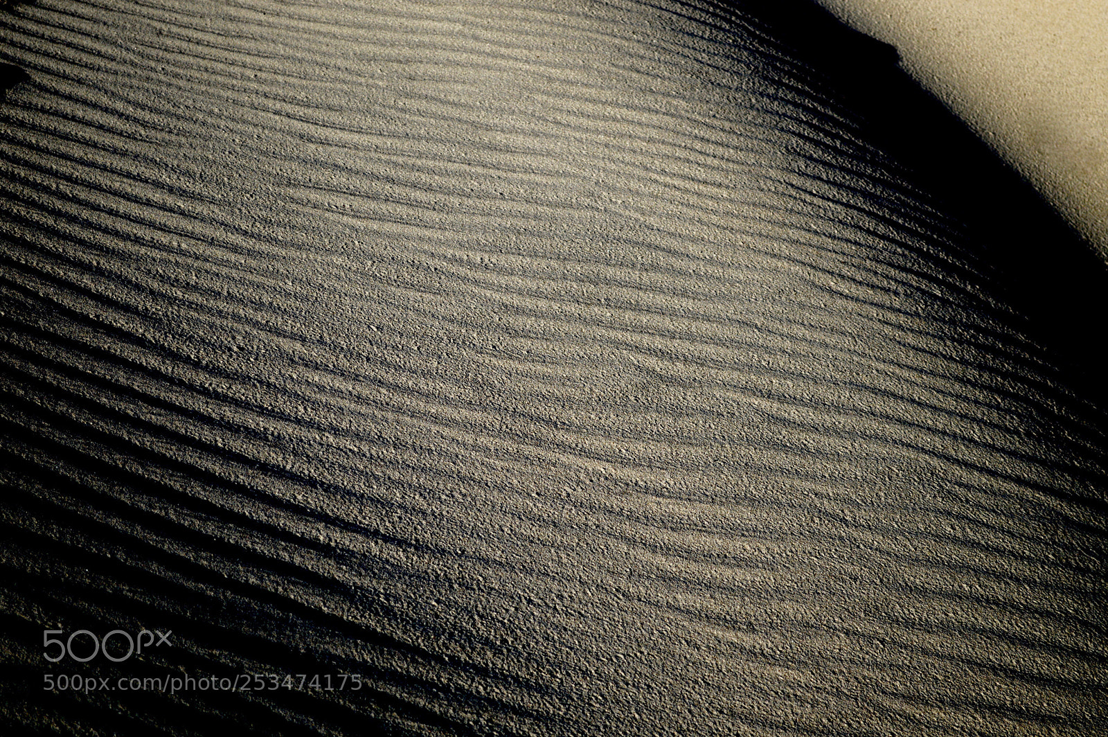 Nikon D3200 sample photo. Dunes ii photography