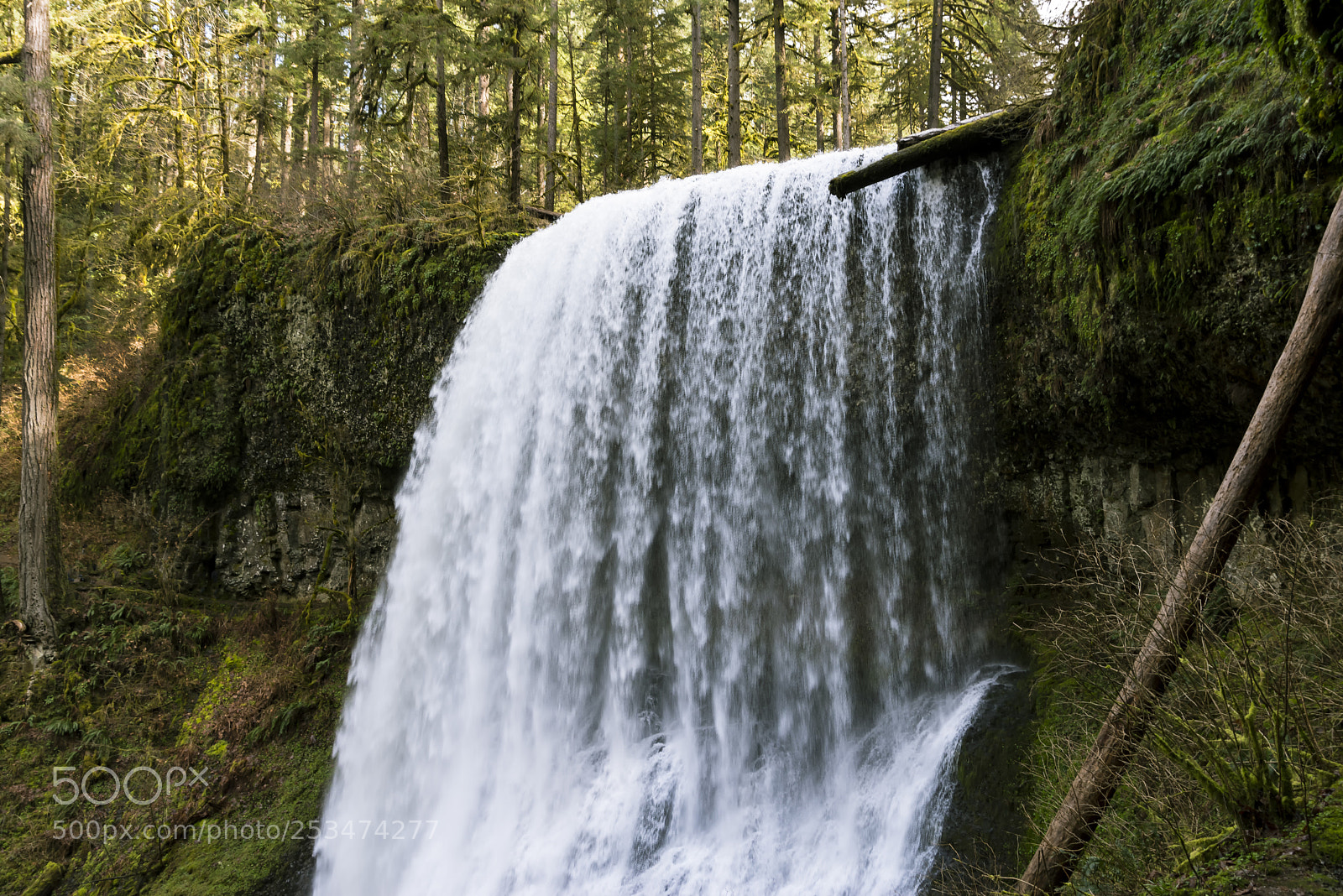 Pentax K-1 sample photo. Silver falls spring photography