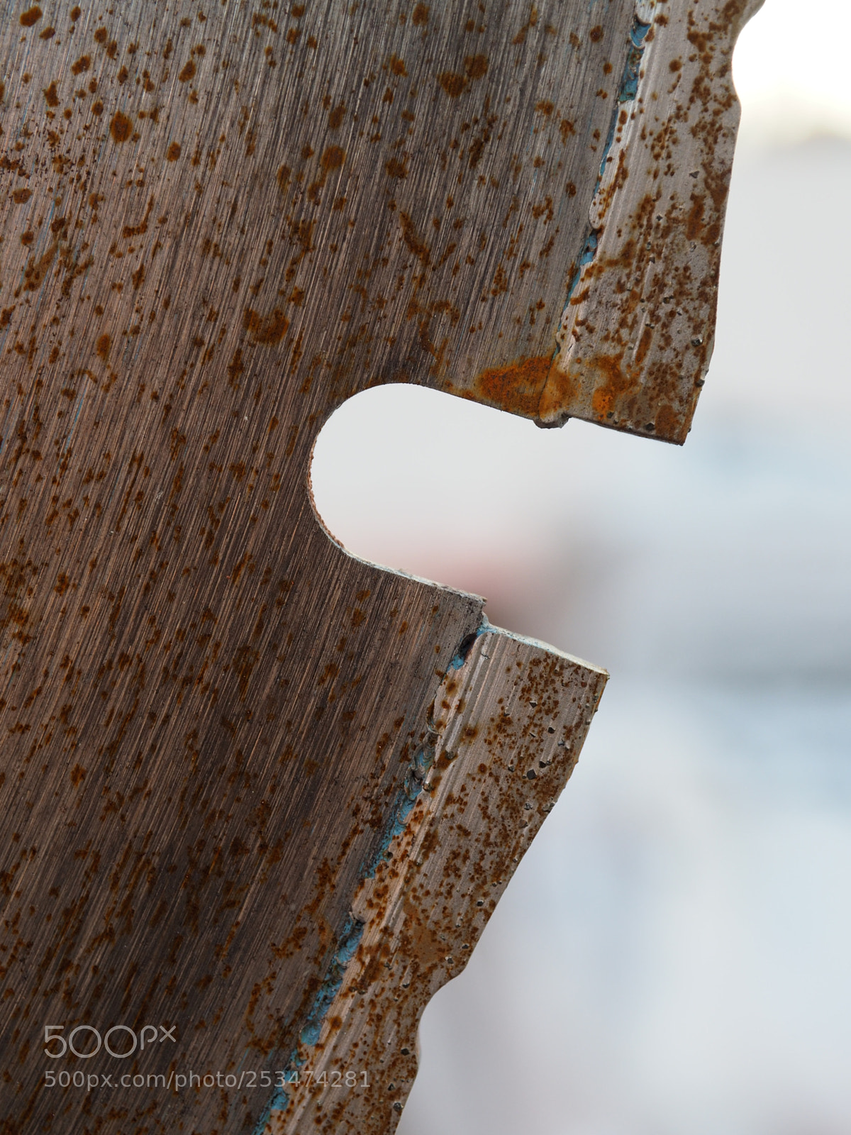 Olympus OM-D E-M5 II sample photo. Sawblade photography