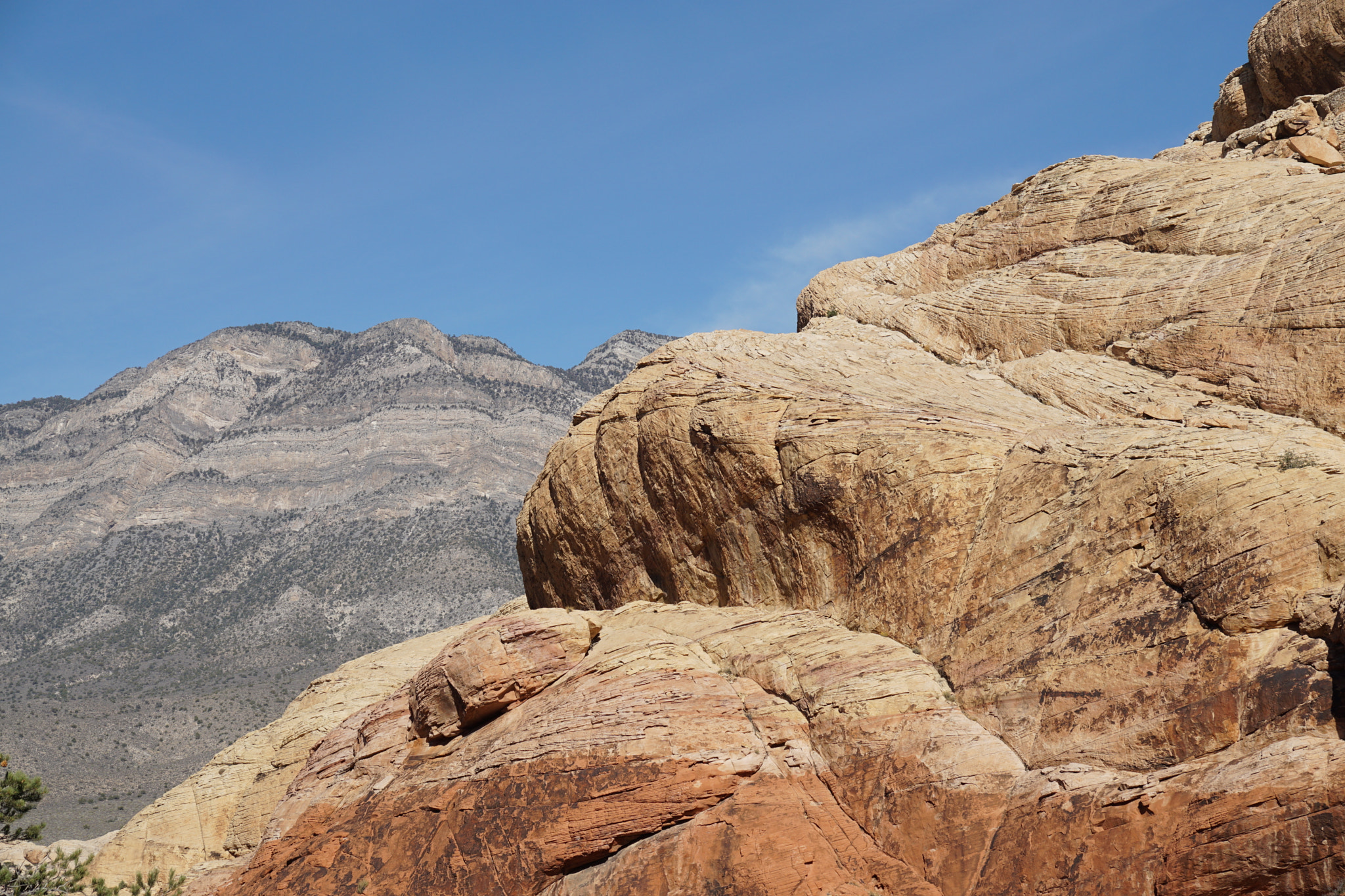 Sony ILCA-77M2 sample photo. Red rocks.nevada photography