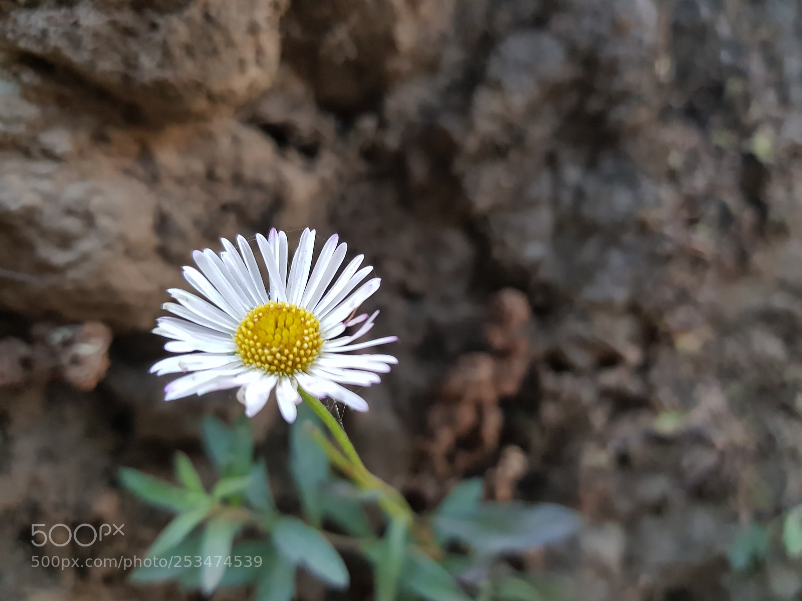 Samsung Galaxy S8 sample photo. 20180102_153206.jpg photography