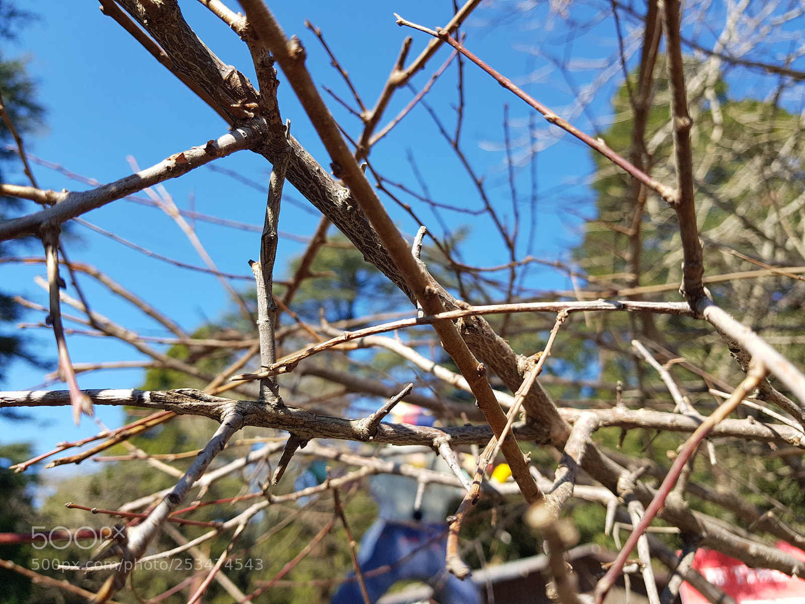 Samsung Galaxy S8 sample photo. 20180103_121638.jpg photography