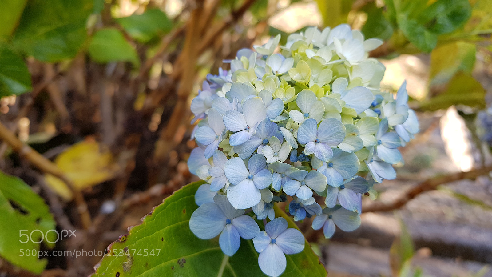 Samsung Galaxy S8 sample photo. 20180103_150400.jpg photography