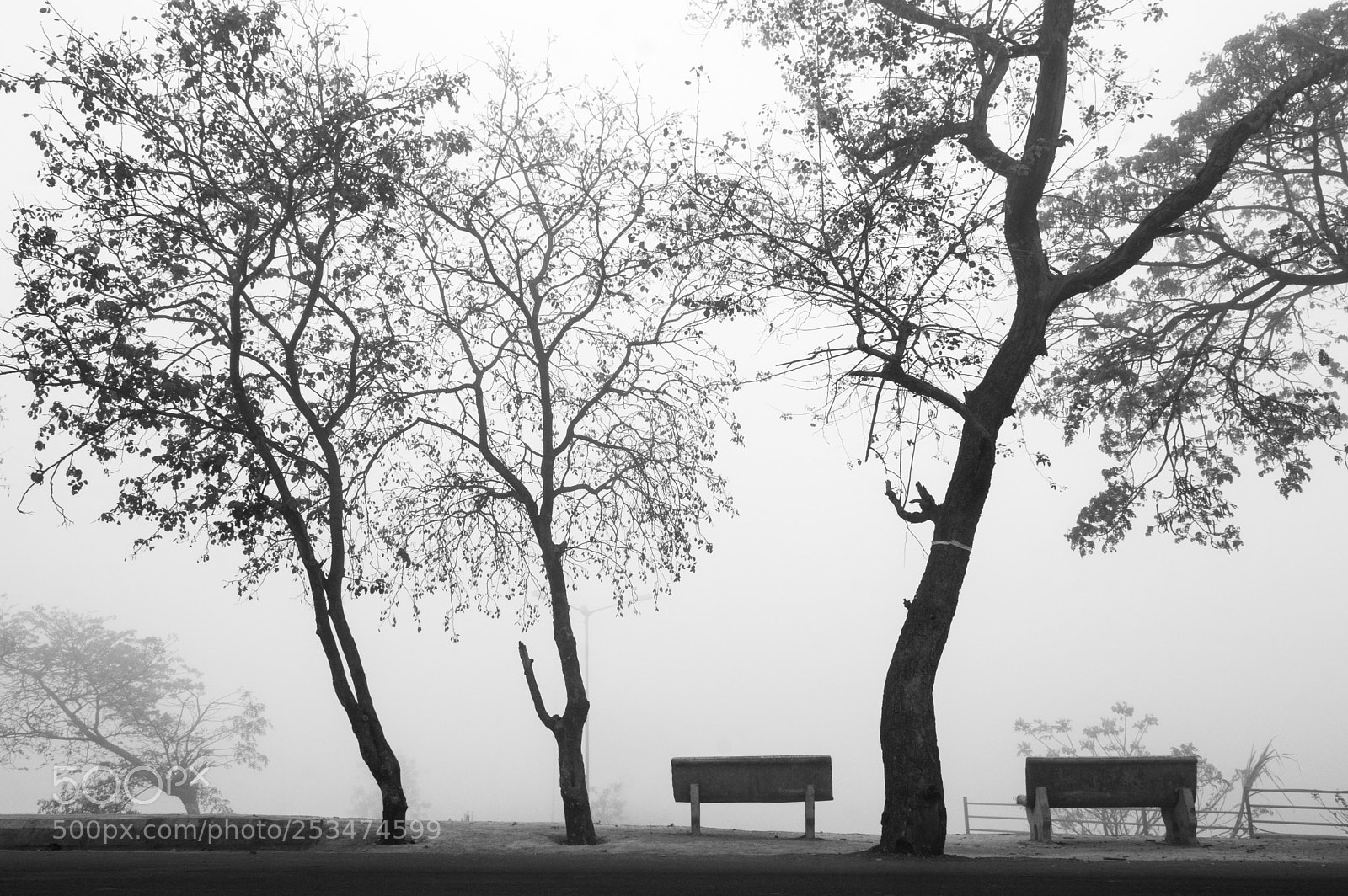 Nikon D3200 sample photo. The silent wait photography