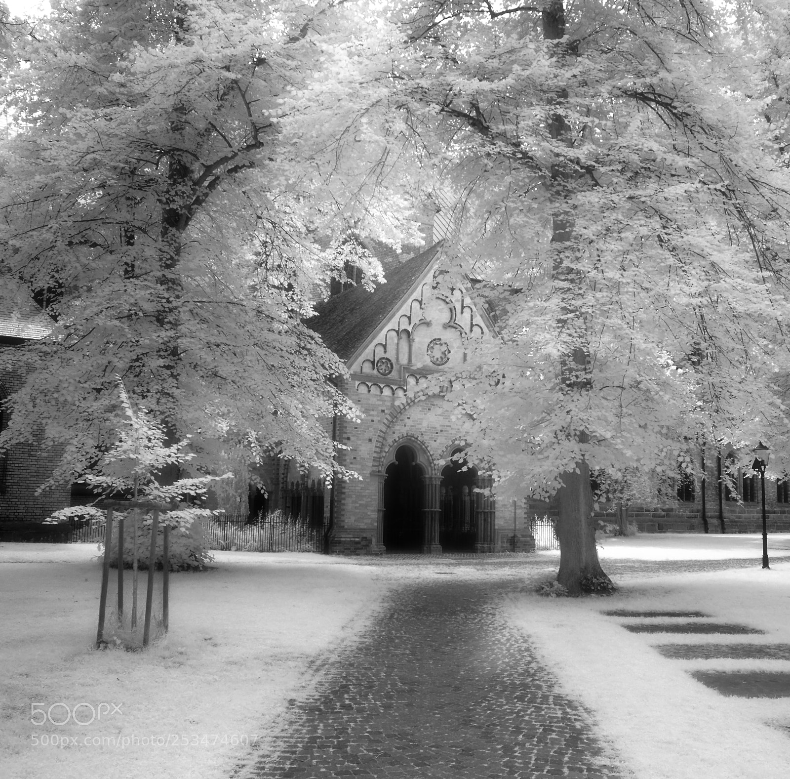 Olympus OM-D E-M5 II sample photo. Lübeck photography