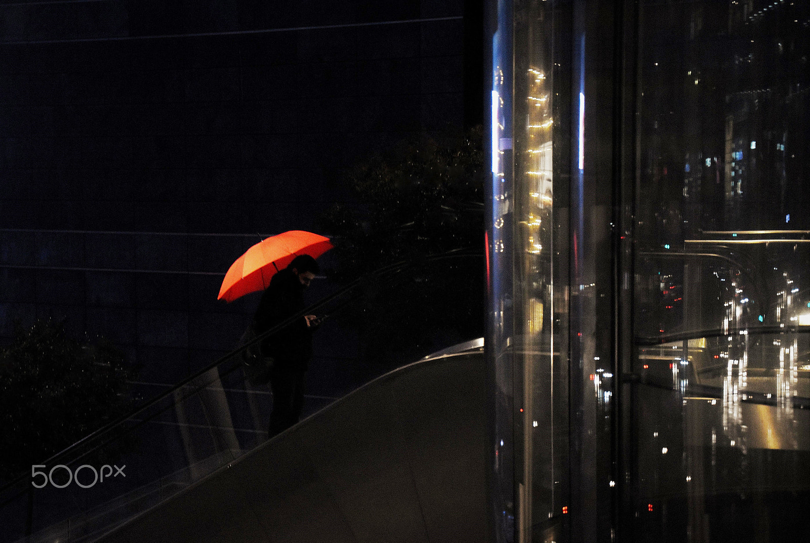 Nikon D5500 sample photo. Red photography