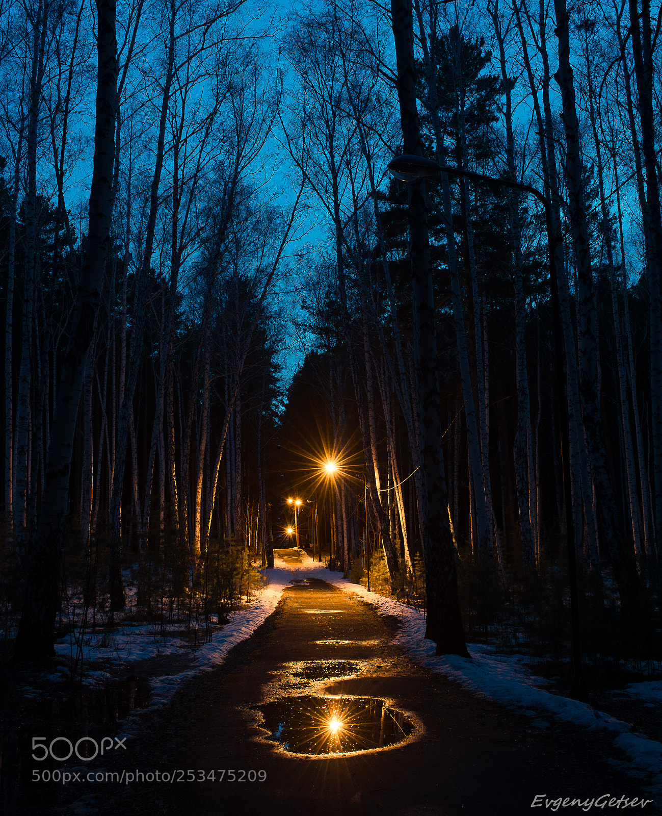 Nikon D3400 sample photo. City park photography