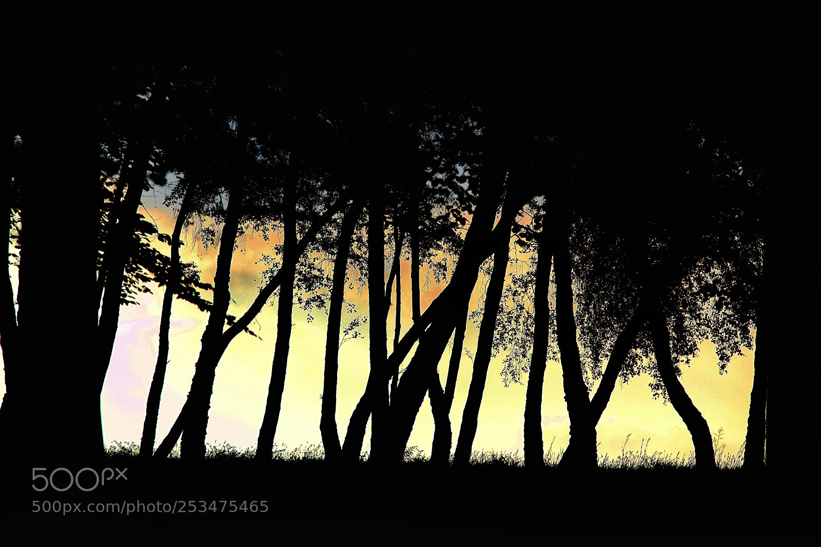 Canon EOS 5D Mark II sample photo. Sunset silhouette photography