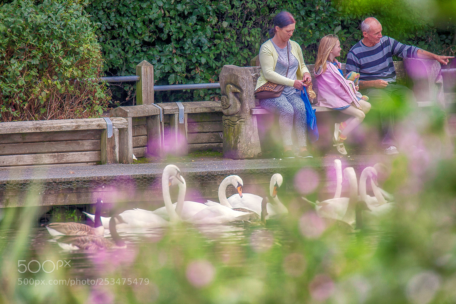 Canon EOS 5D Mark II sample photo. Visitors watching the swans photography