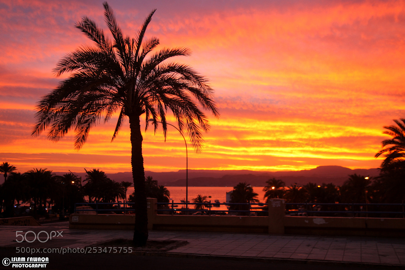 Canon EOS 5D Mark II sample photo. Al aqaba - jordan photography