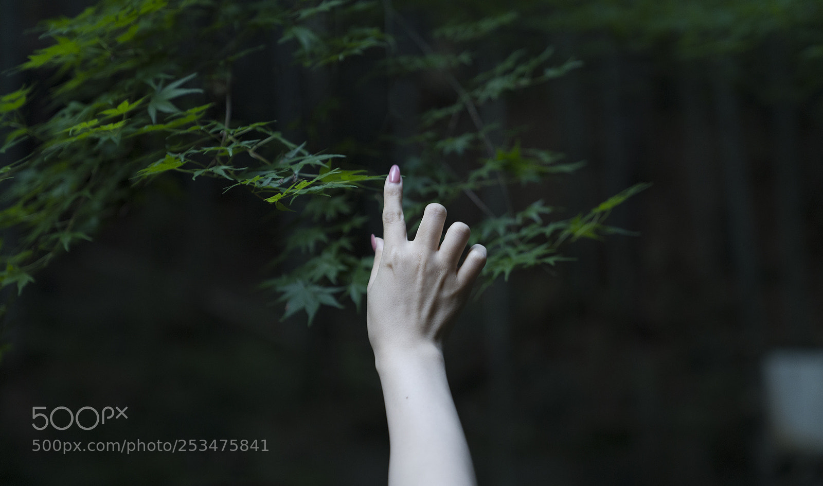 Sony a7 II sample photo. Point photography