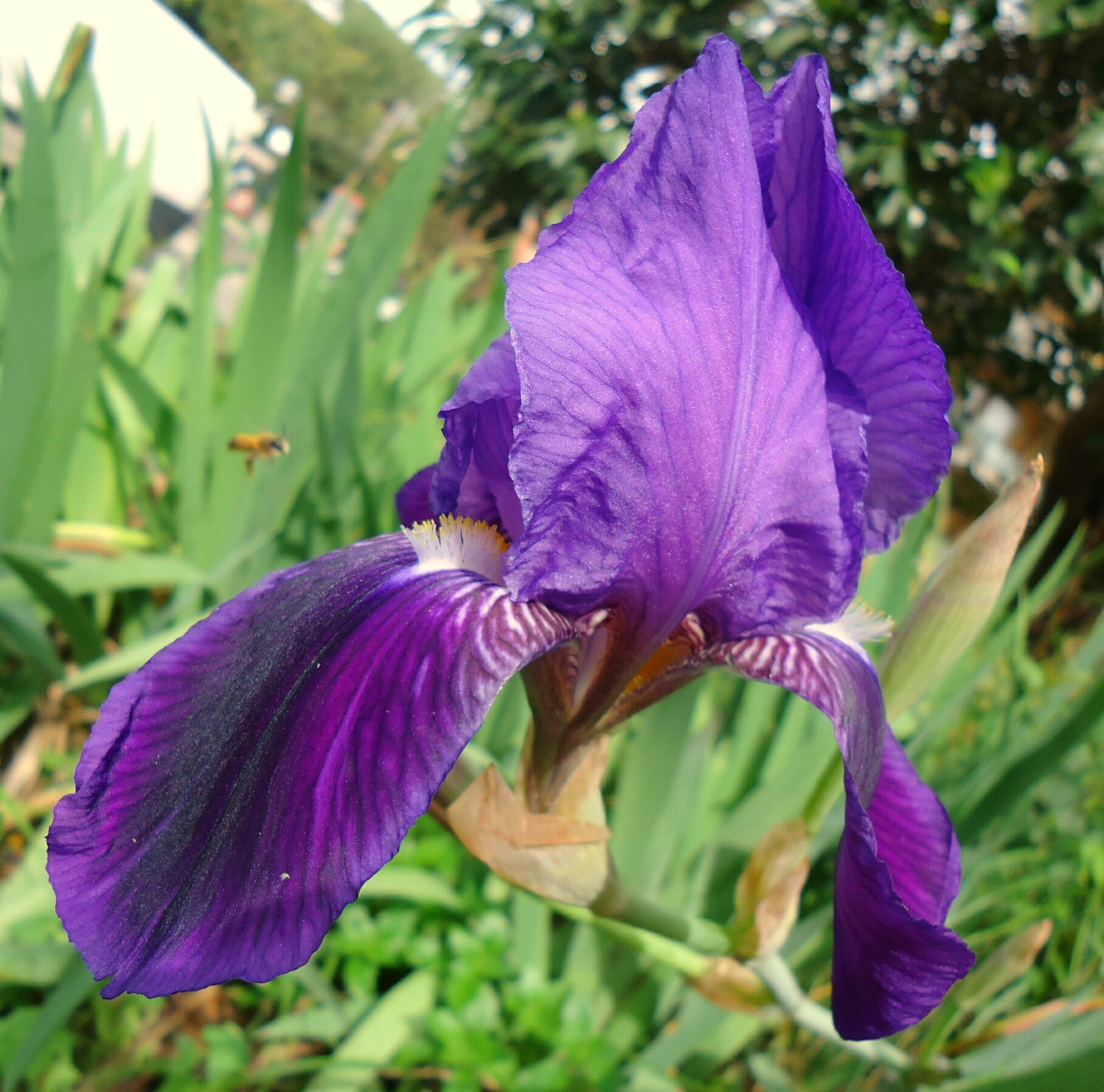 Sony Cyber-shot DSC-W610 sample photo. Ciuri, ciuri... photography
