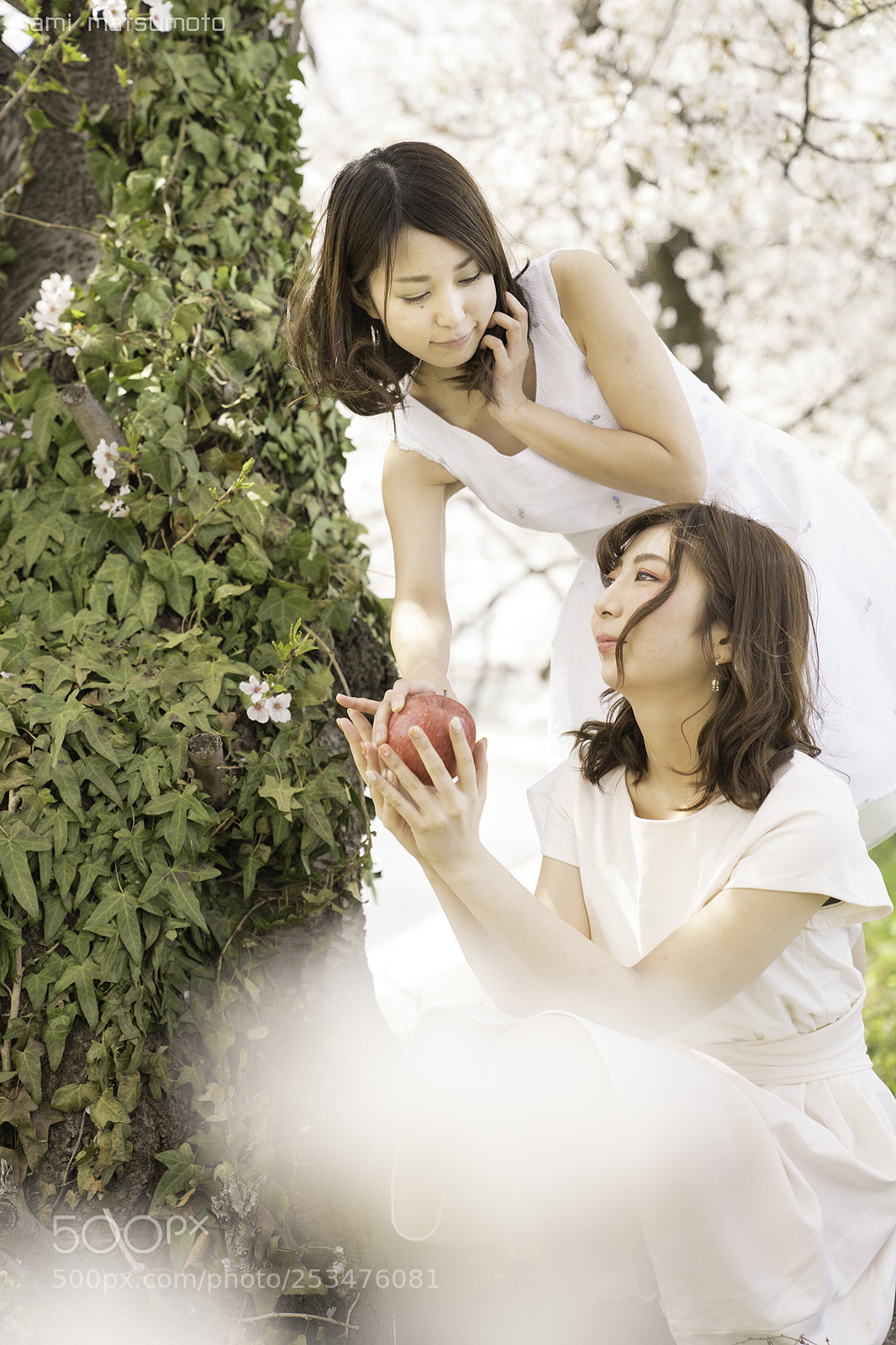 Sony a7 II sample photo. Annunciation photography