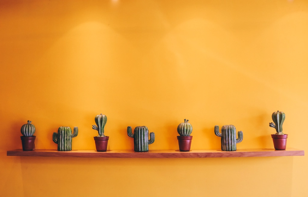 Cactus by Huy Tran ? on 500px.com