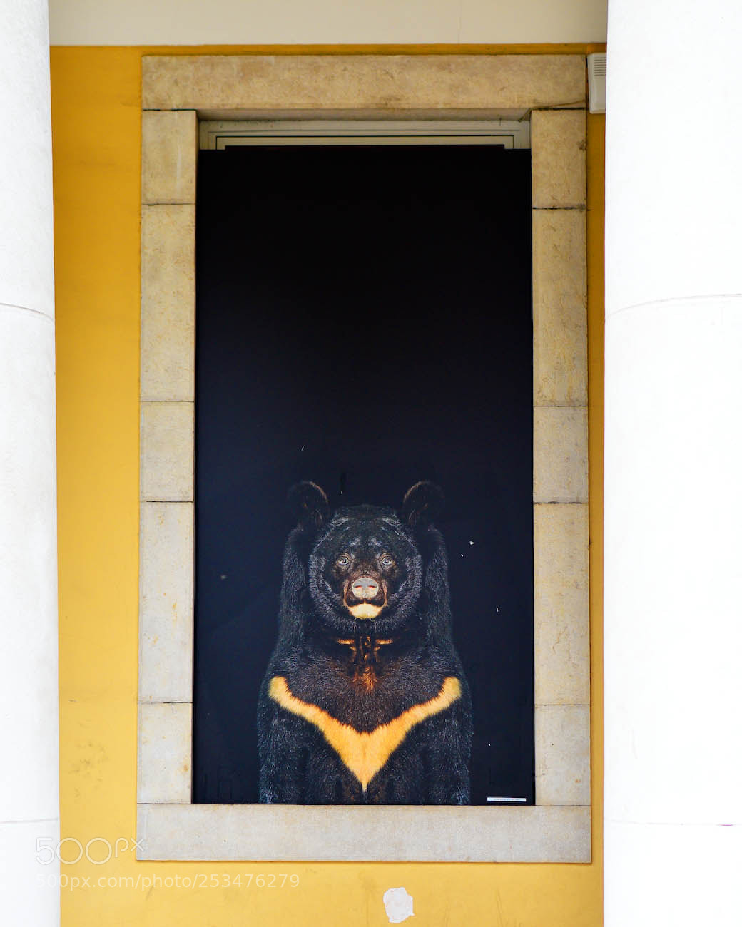Nikon D3200 sample photo. On the wall photography