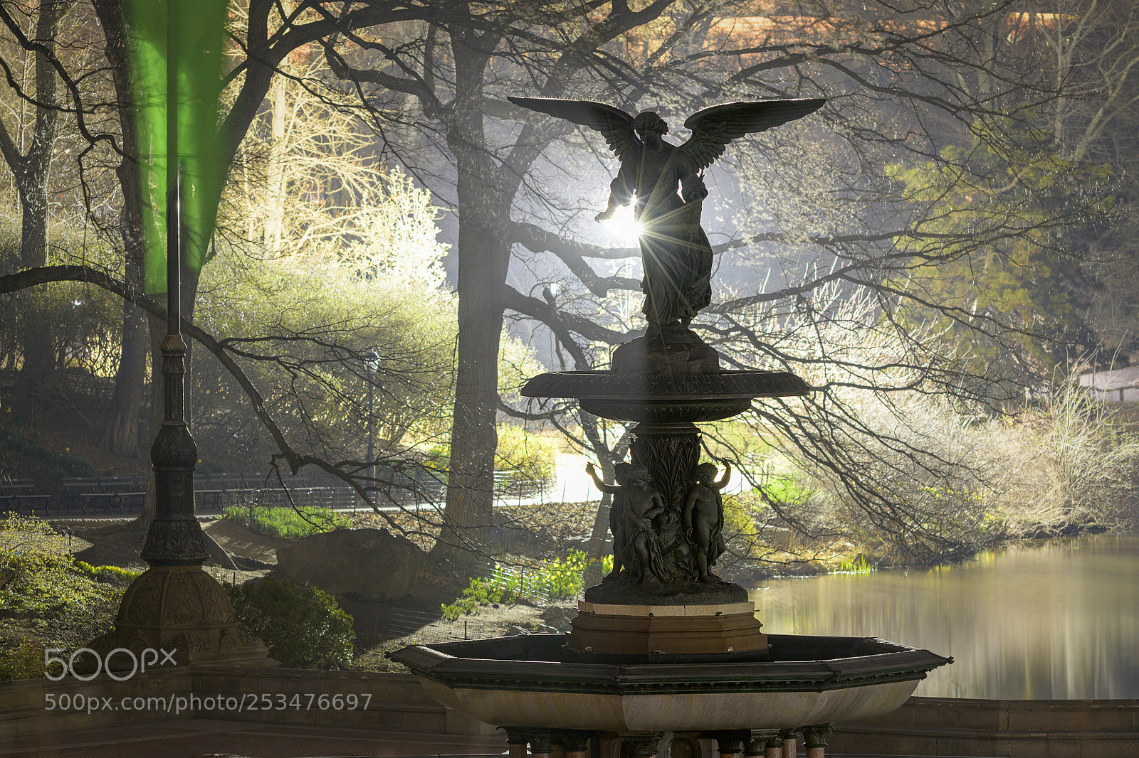 Nikon D850 sample photo. Bethesda spring photography