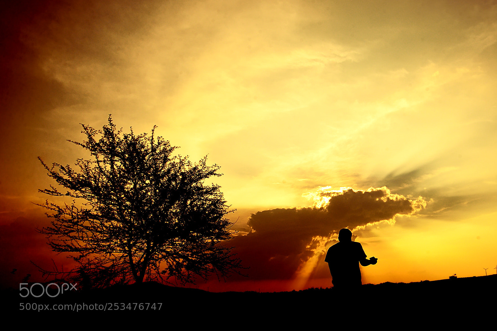 Nikon D600 sample photo. Sunset photography