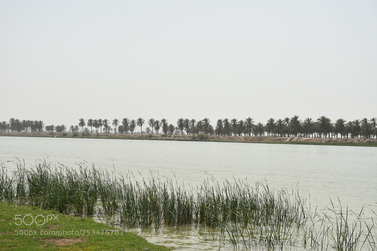 Nikon D7200 sample photo. Shat al arab photography