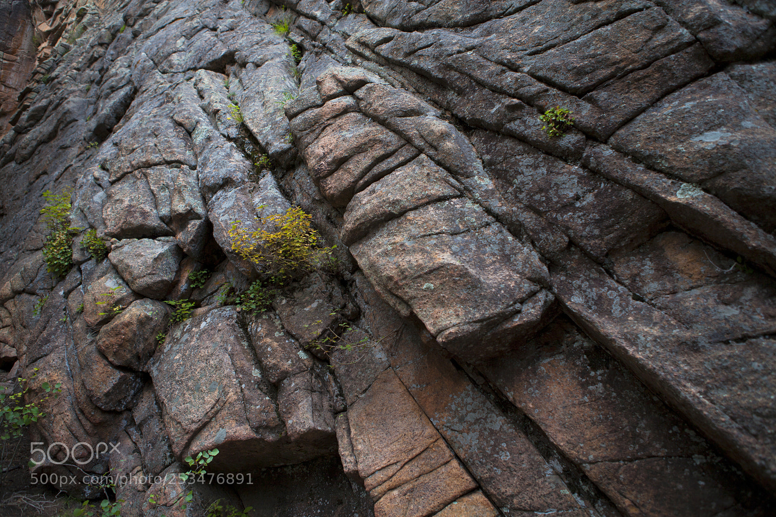Canon EOS 5D Mark II sample photo. Outcropping photography