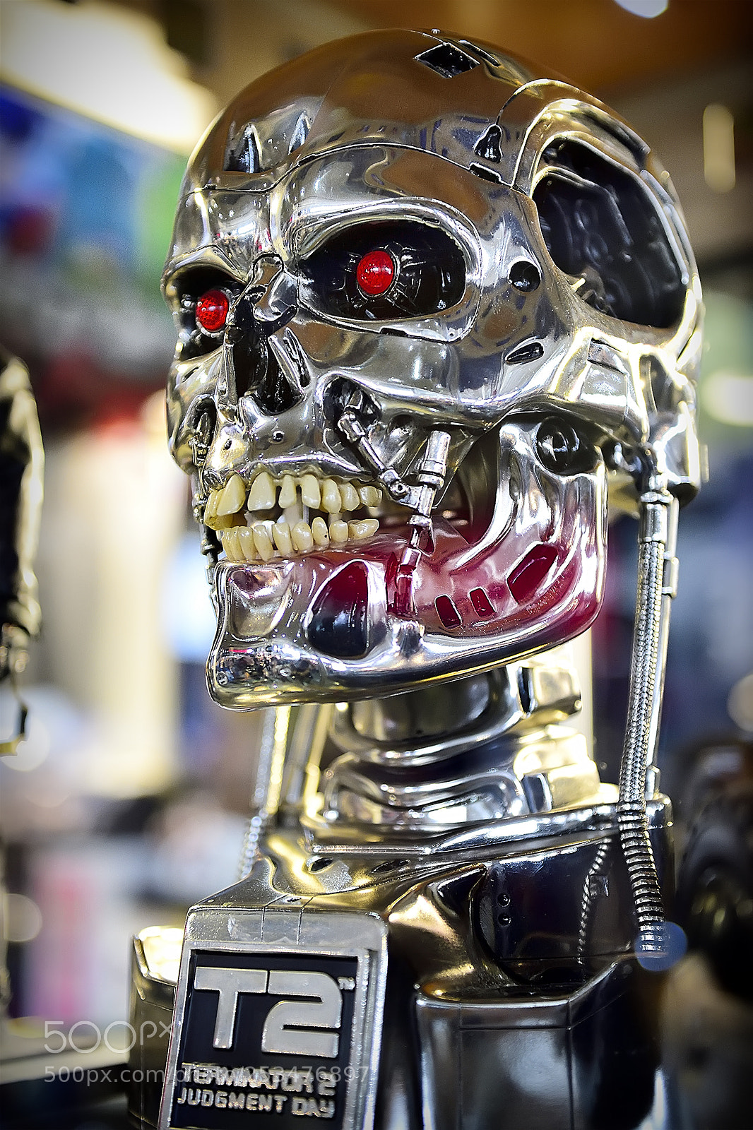Nikon D810 sample photo. S manga nx ex photography