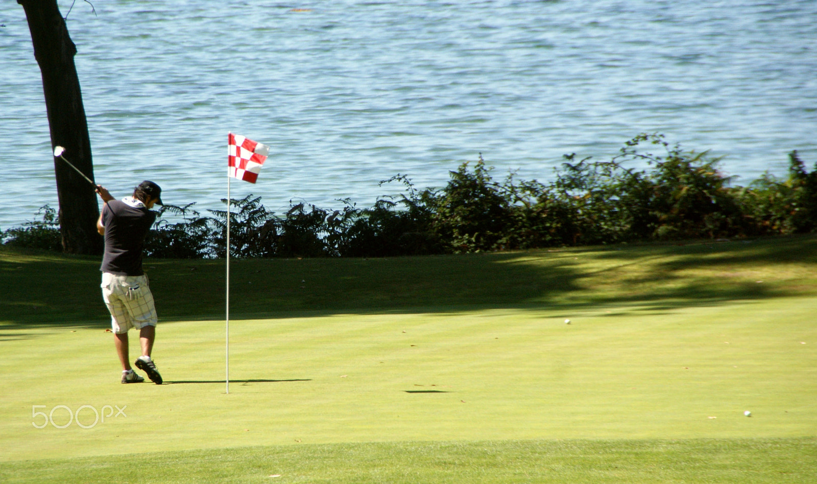 Sony DT 18-250mm F3.5-6.3 sample photo. Campo de golf en isla de  la toja photography