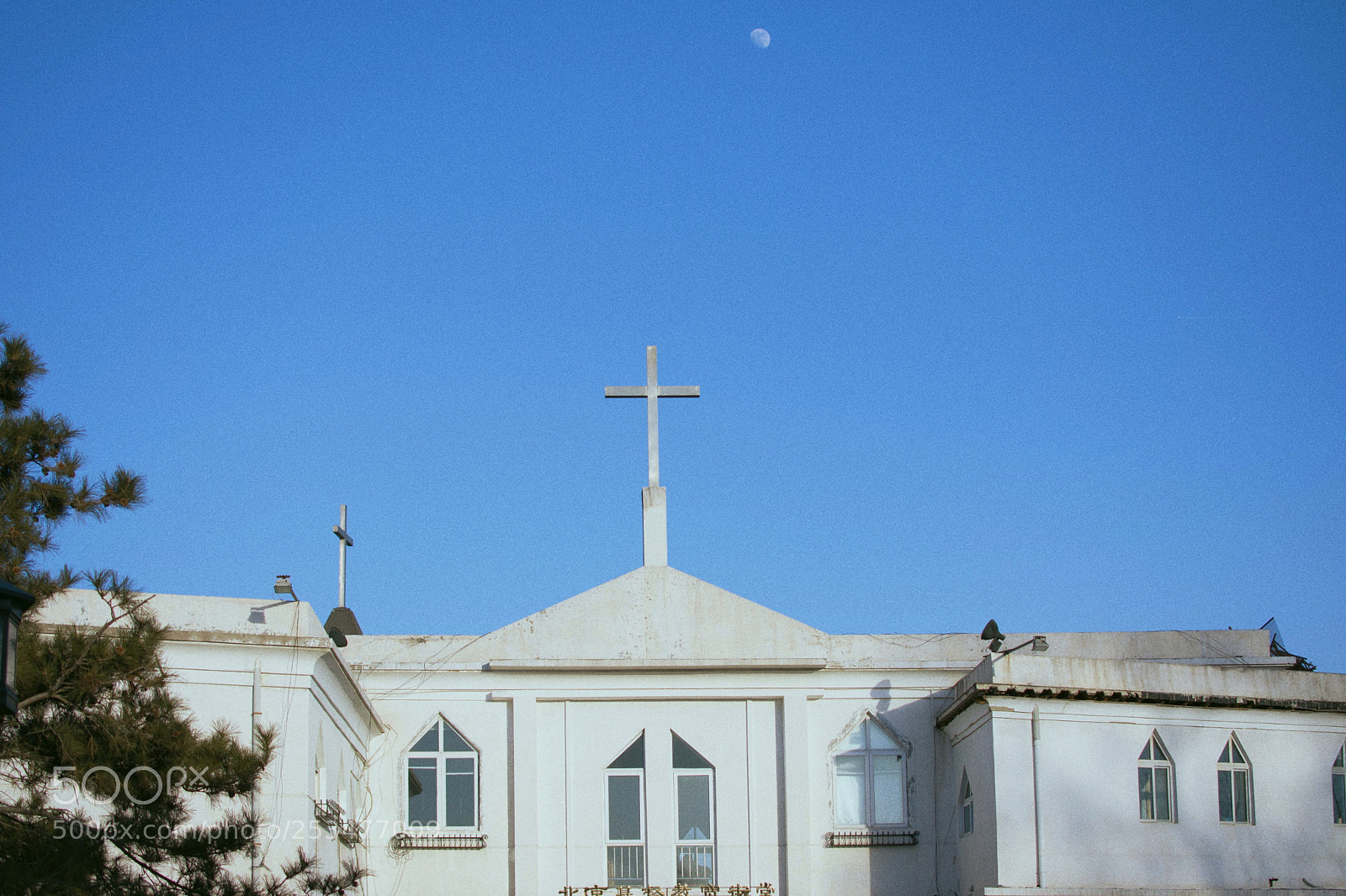 Nikon D7100 sample photo. Untitled photography
