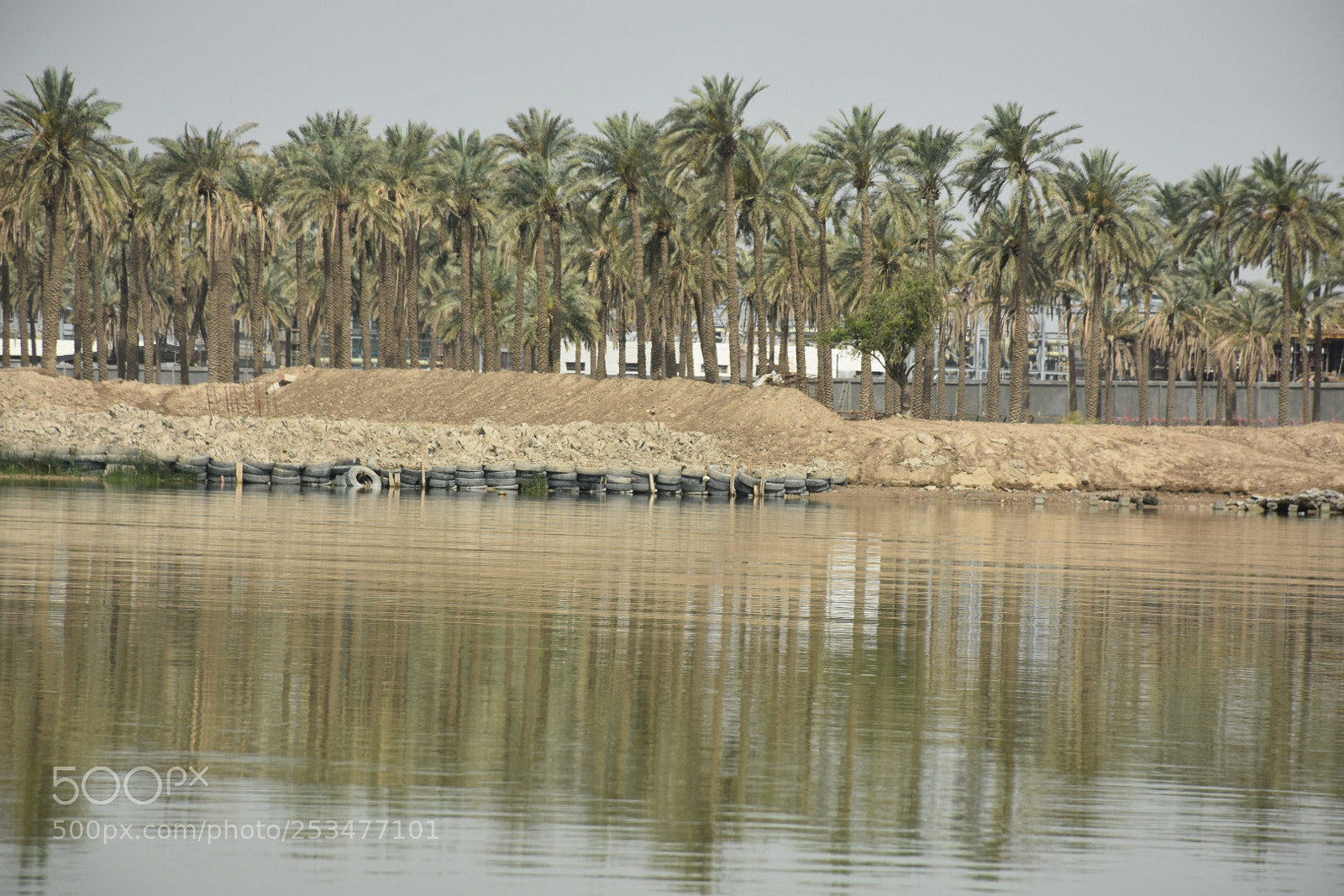 Nikon D7200 sample photo. Iraq basrah photography
