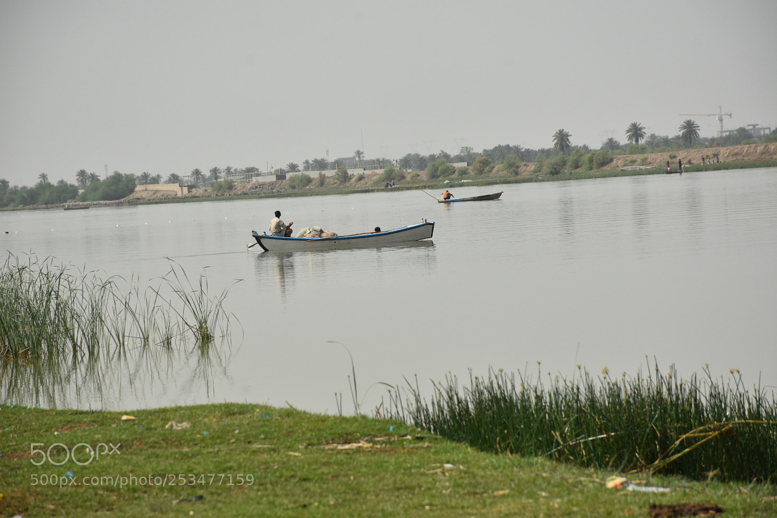 Nikon D7200 sample photo. Untitled photography