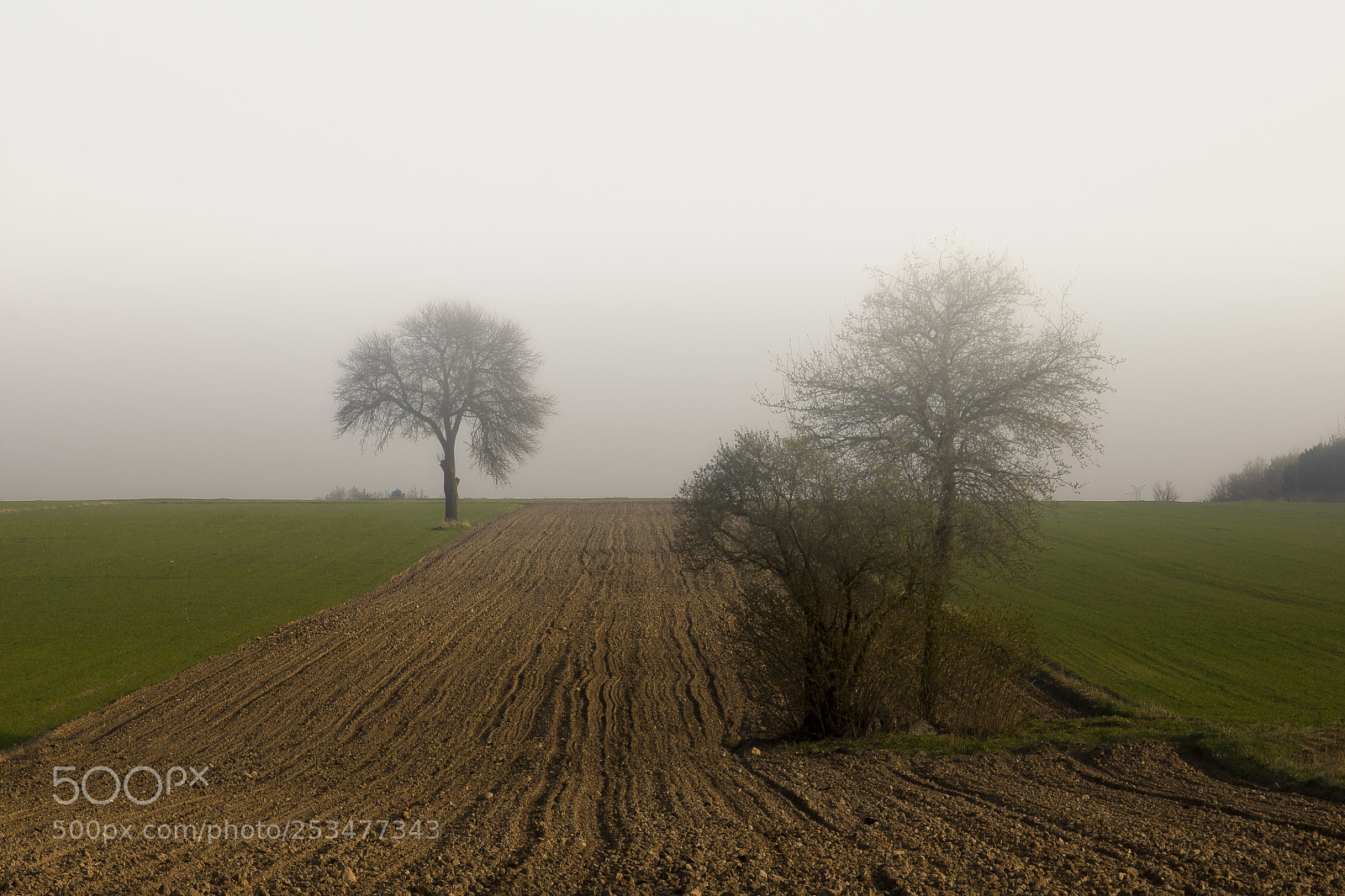 Canon EOS 760D (EOS Rebel T6s / EOS 8000D) sample photo. Spring fields at sunrise photography