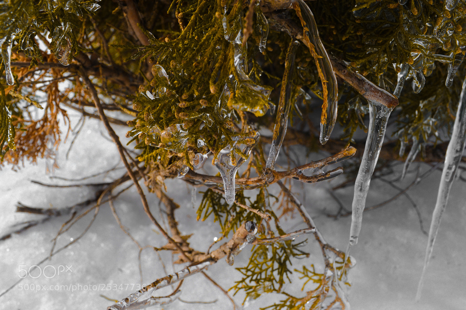 Nikon D3100 sample photo. Water photography