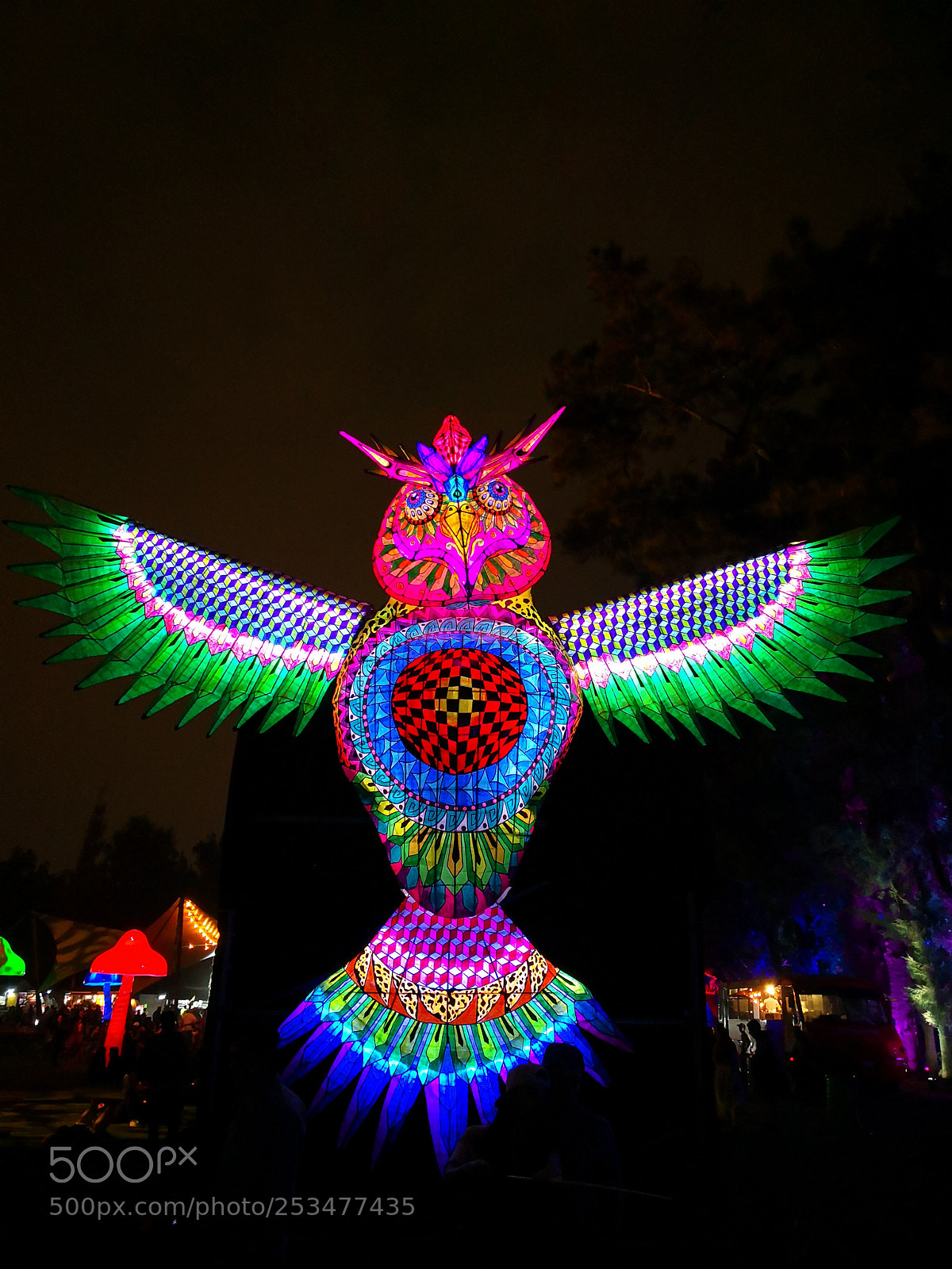 HUAWEI Mate 10 sample photo. Edc owl photography