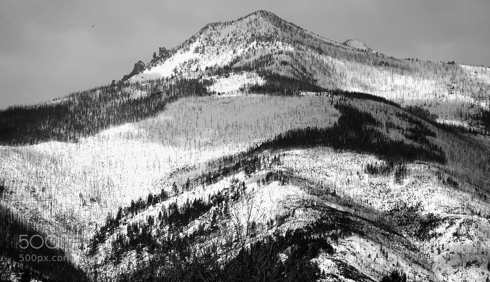 Sony Cyber-shot DSC-RX10 IV sample photo. Kanji for mountain is photography