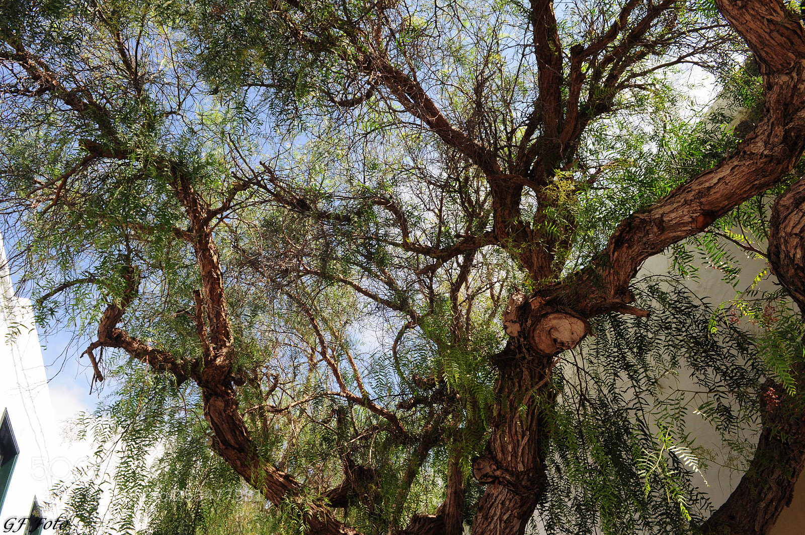 Nikon D90 sample photo. Lanzarote () photography