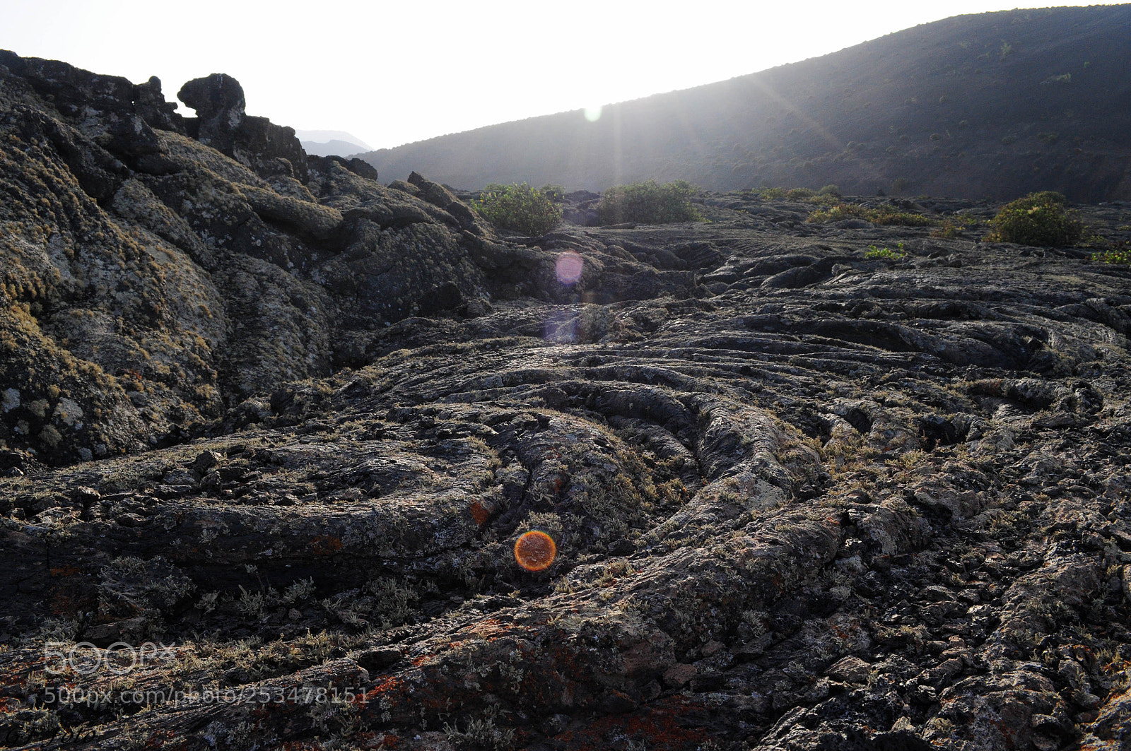 Nikon D90 sample photo. Lanzarote () photography